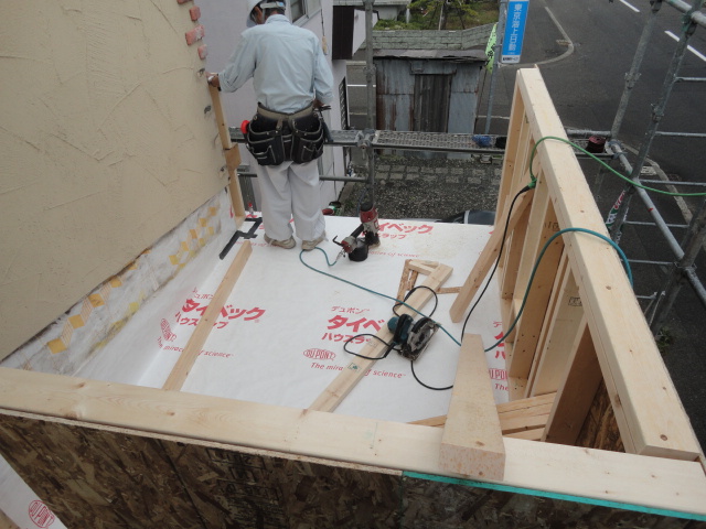 DSC05360.JPG